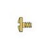 1.4 x 3.5 x 2.5 Stay-Tight Gold Hinge Screw (pack of 100)