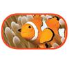 Clownfish Bubble Case