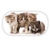 Kittens Bubble Case