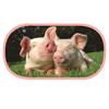 Piglets Bubble Case